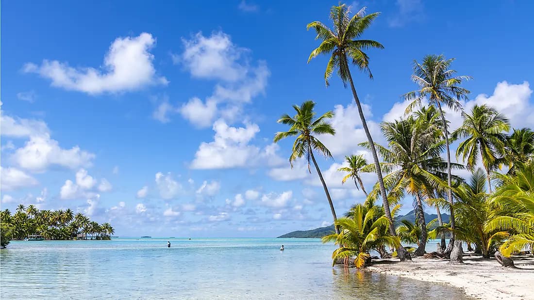 Marquises, Tuamotu et îles de la Société