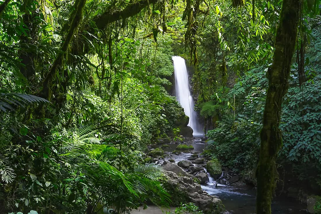 Le Parc Naturel La Paz Waterfall Gardens