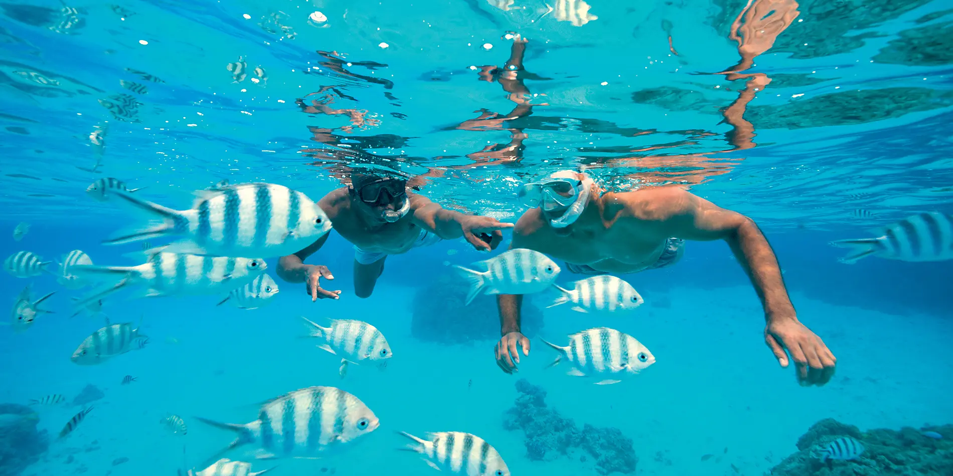 Tahiti et les îles de la Société