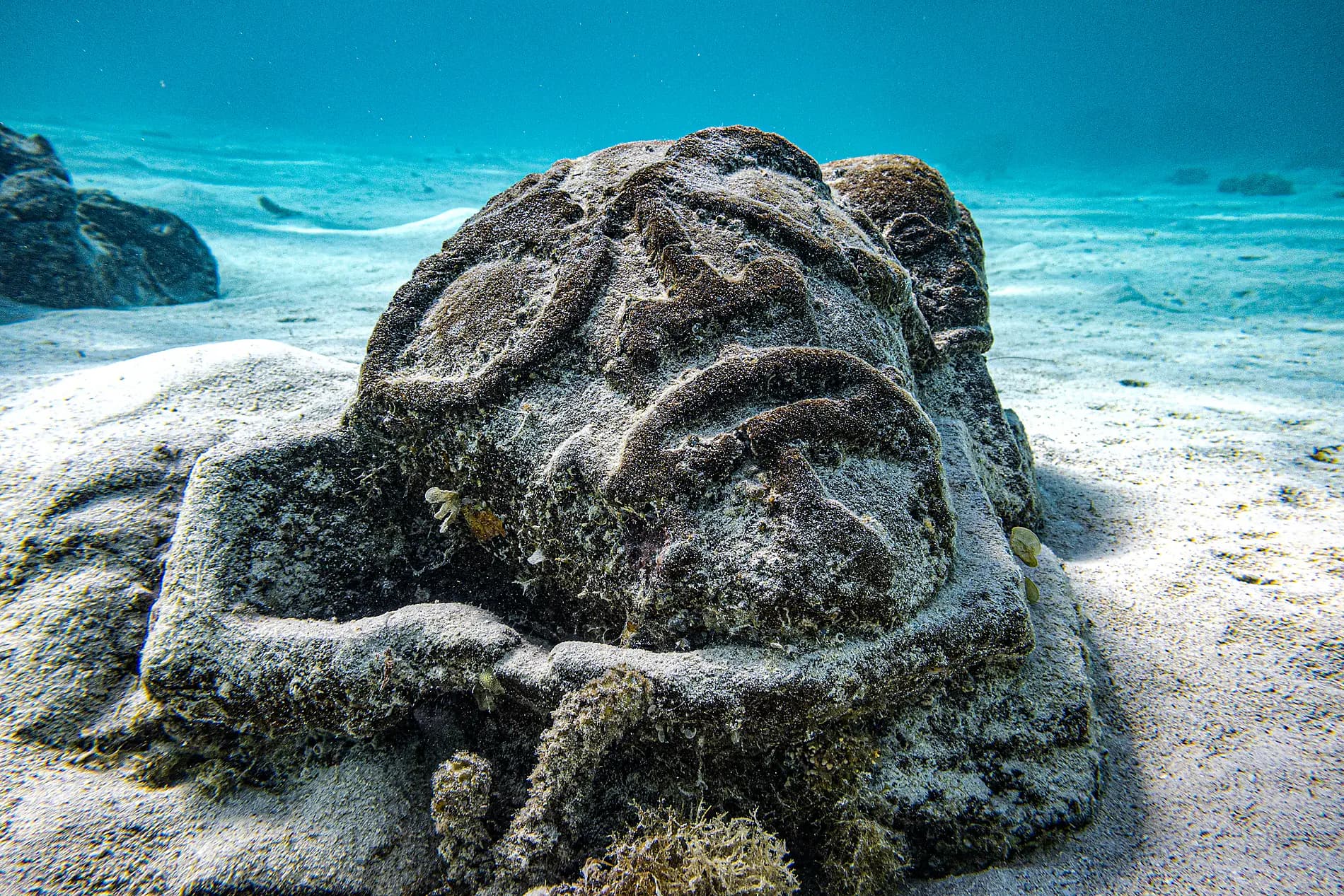 Tahiti et les îles de la Société 