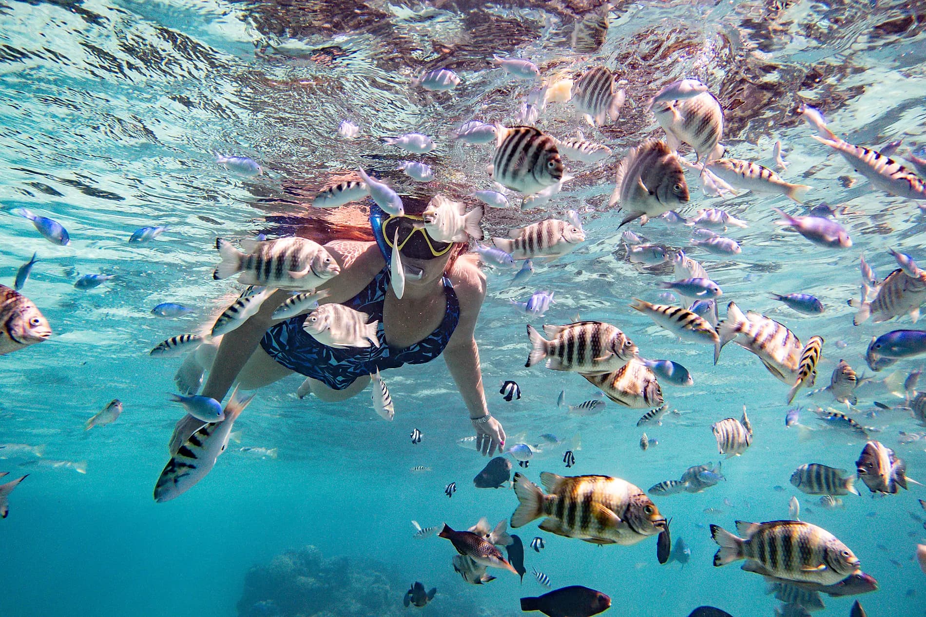 Tahiti et les îles de la Société