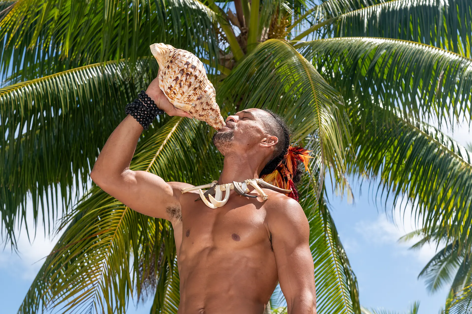 Tahiti et les îles de la Société