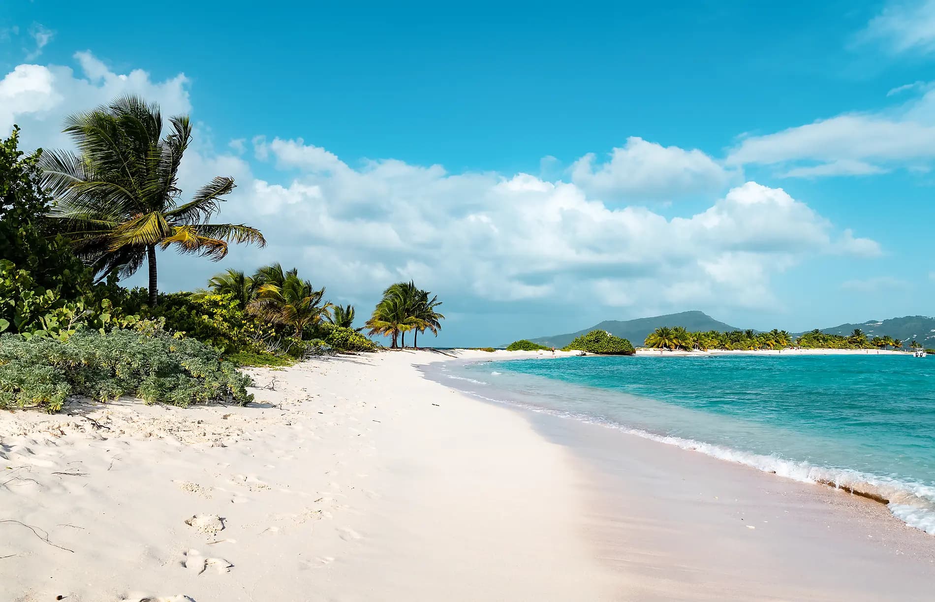 Rêverie sous voiles au cœur des petites Antilles 