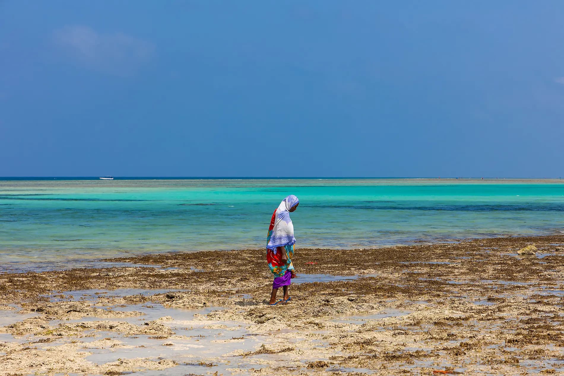 Madagascar, Zanzibar et les trésors de l’océan Indien