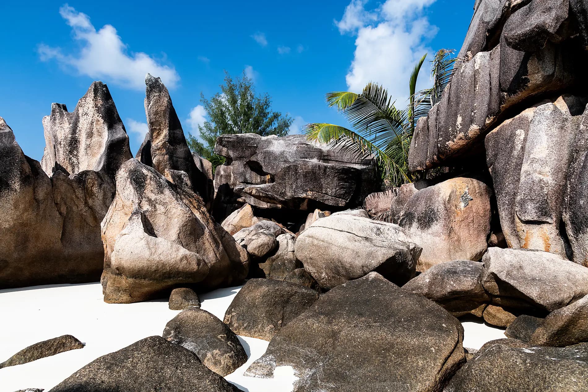 Des Seychelles à Madagascar, îles insoupçonnées