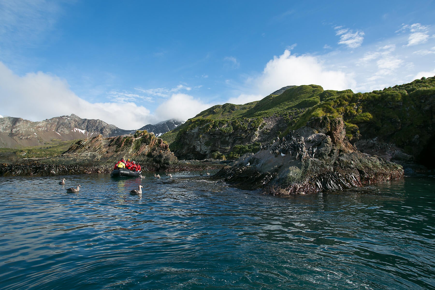 6421 - Fjord Drygalski - Georgie du Sud.jpg