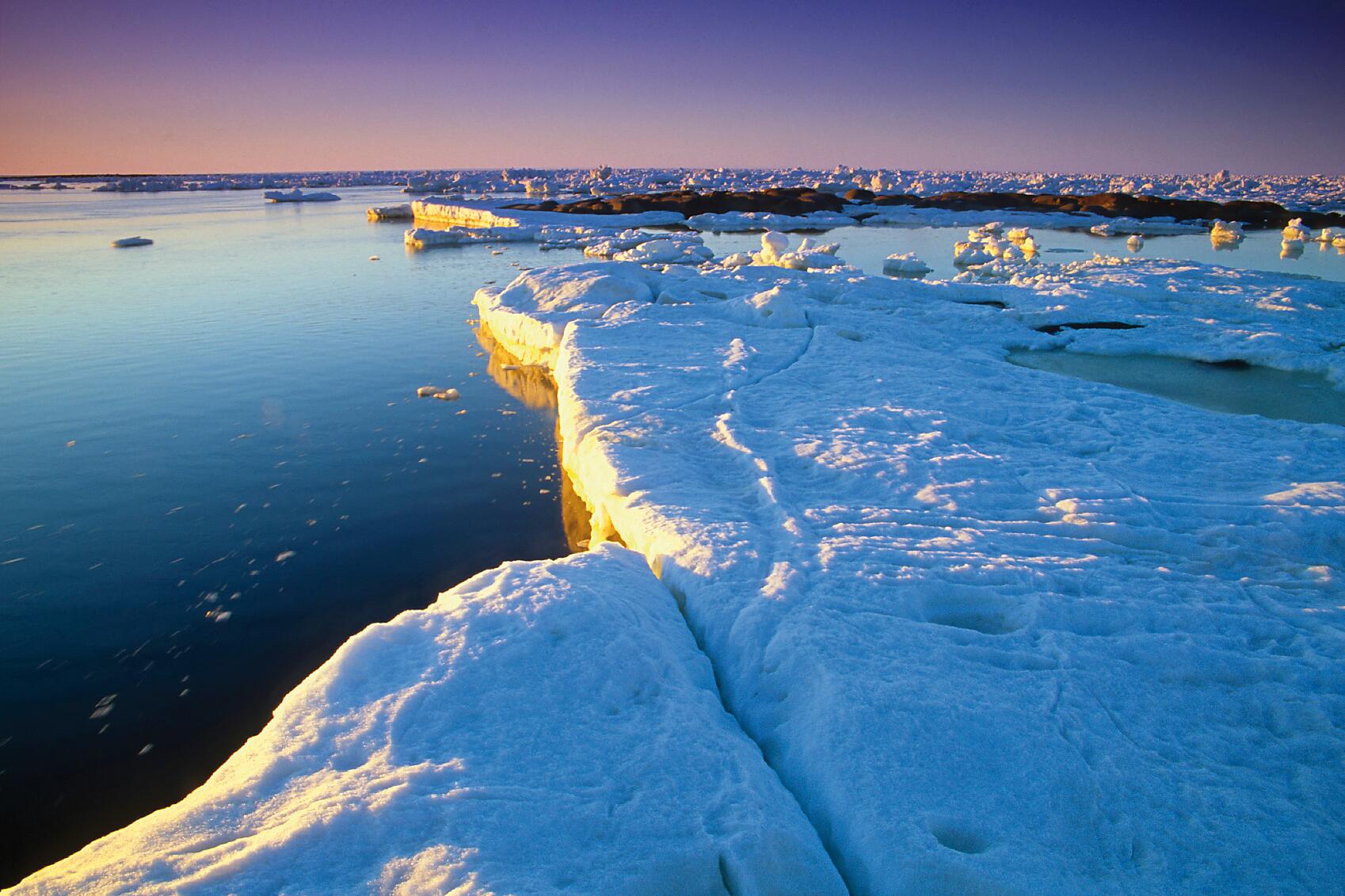 istockphoto hudson s bay nuna .jpg