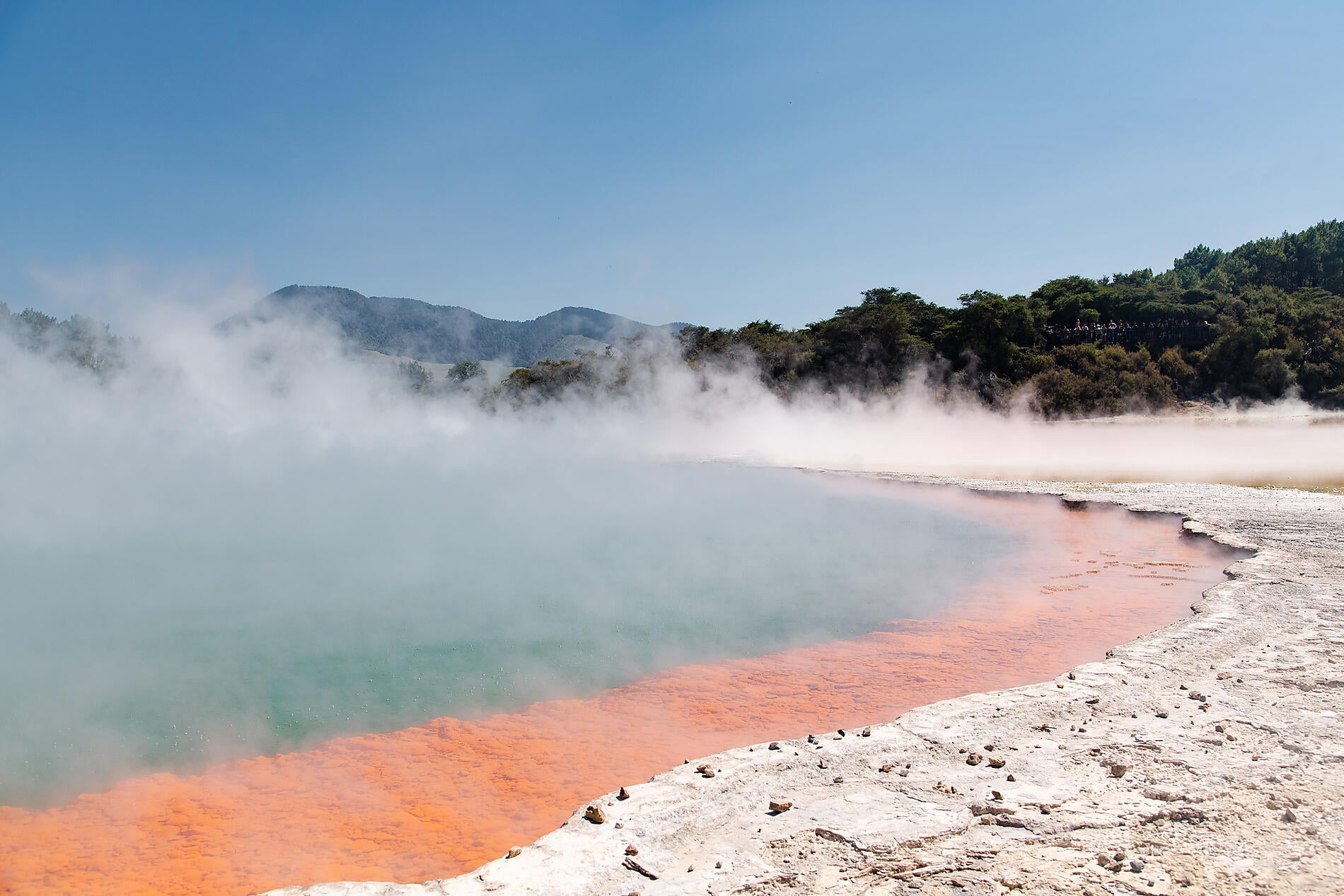N-1138_R200319_Tauranga_New-Zealand©Studio PONANT-Charlotte Ortholary.jpg