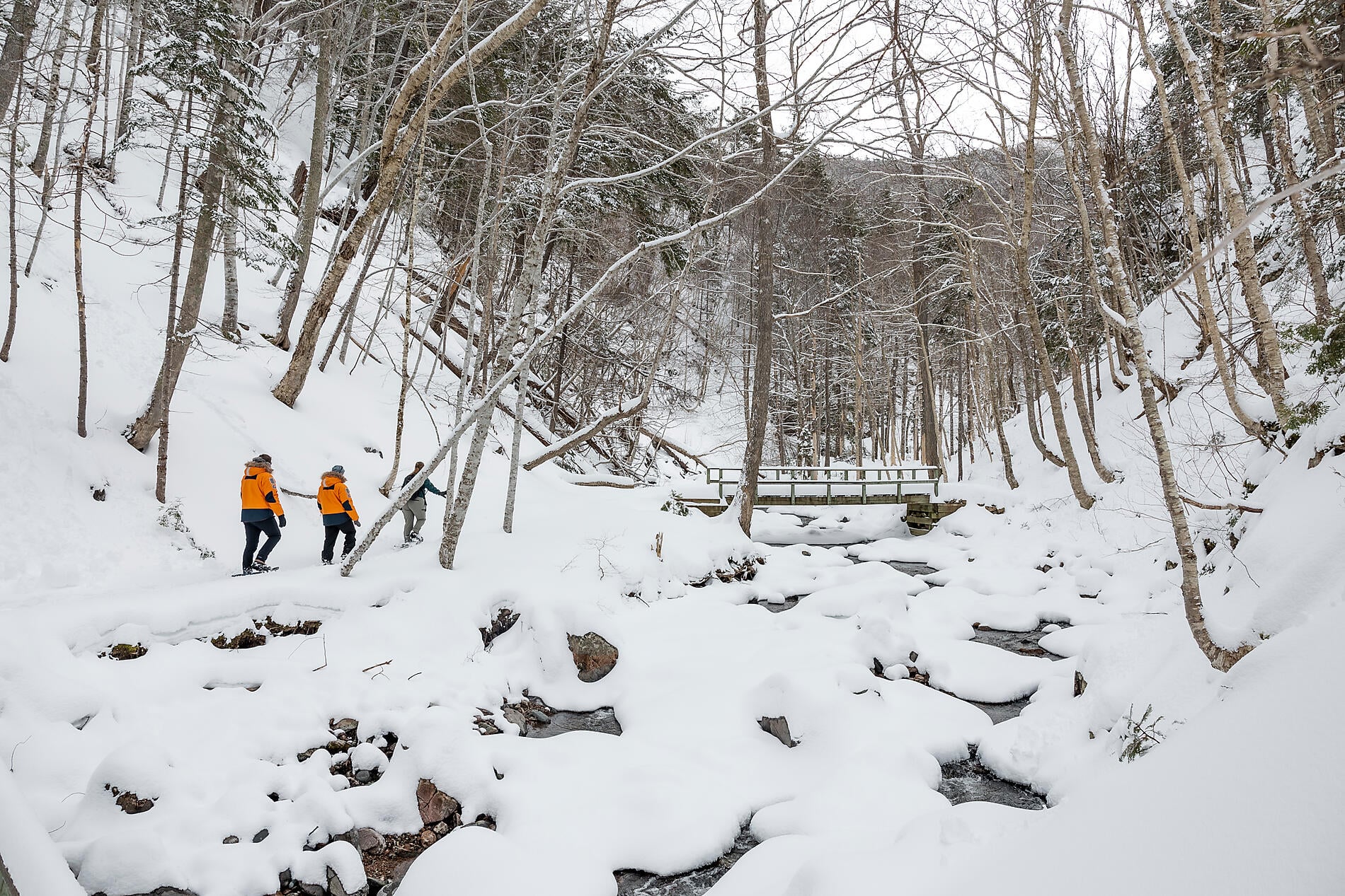 0O5A2256_Terre-Neuve_Reperage_Charcot_Canada©PONANT-Julien Fabro.jpg
