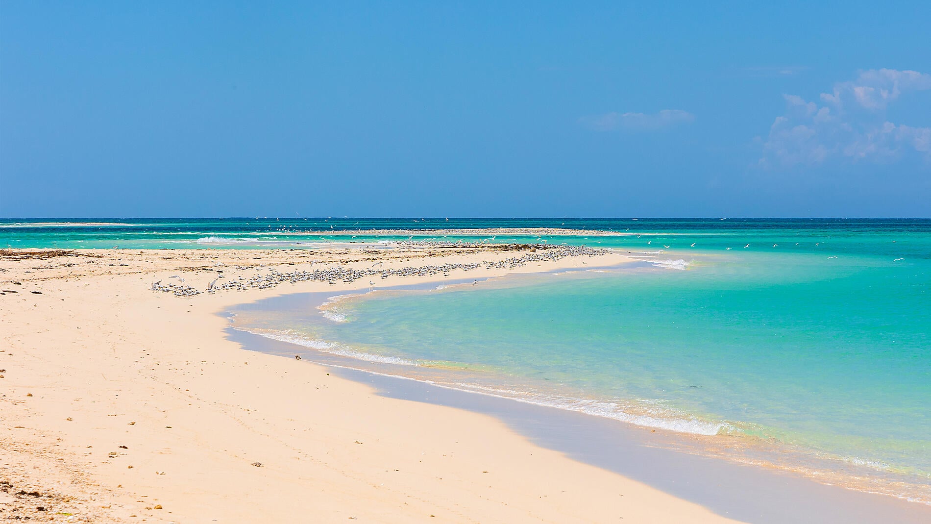 Joyaux de Madagascar Joyaux de Madagascar