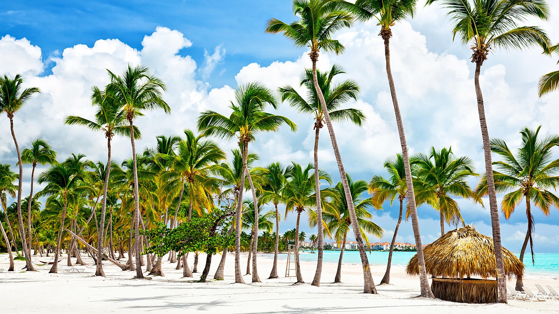 Joyaux secrets des Petites Antilles Joyaux secrets des Petites Antilles