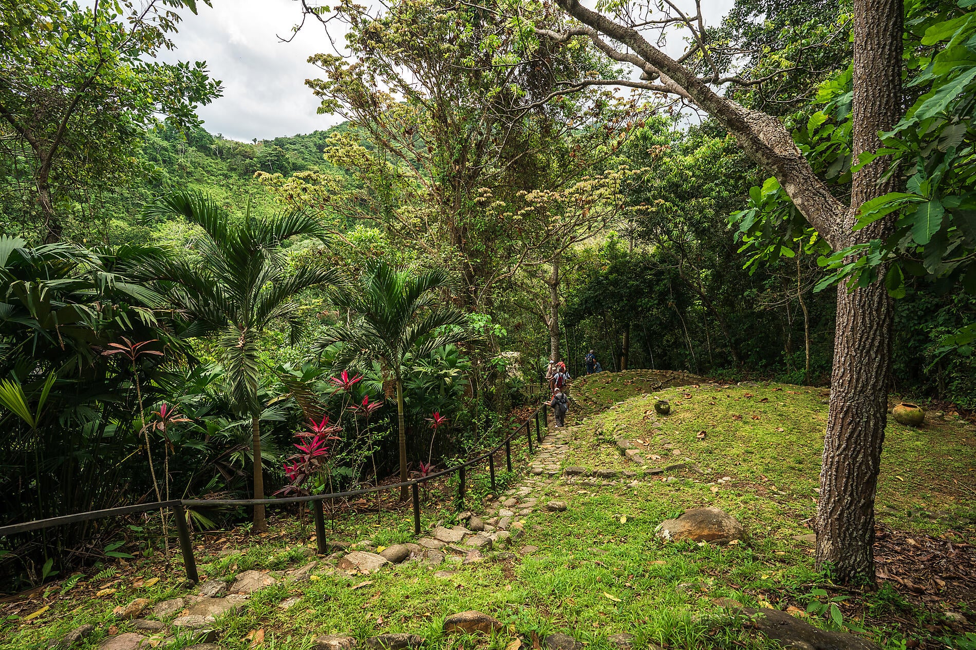No-2080_EC250326_Santa Marta©StudioPONANT_YanisLasbats.jpg