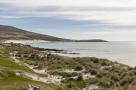 13 Mars 28 > 14 Mars 28 - Île Carcass