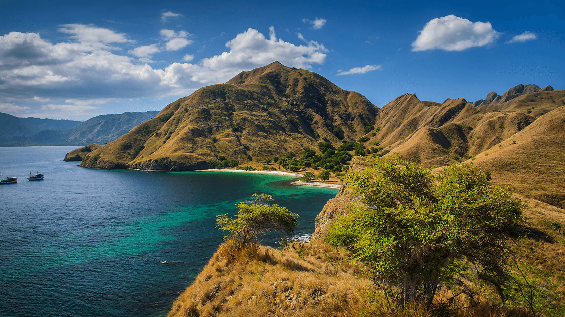Odyssée tropicale indonésienne Odyssée tropicale indonésienne