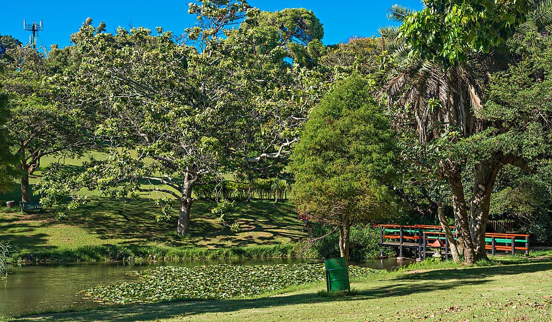 DÉCOUVERTE DE DURBAN (1 NUIT)