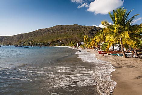 4 Janv 26 - Grande Anse d'Arlet