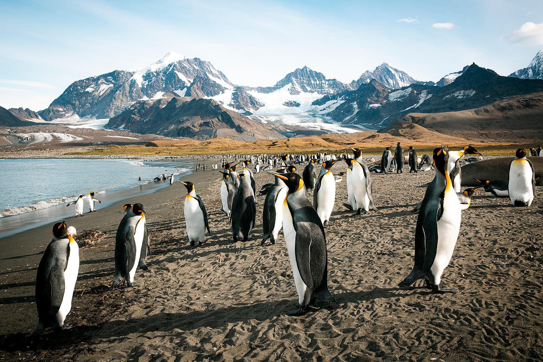 La grande boucle australe
