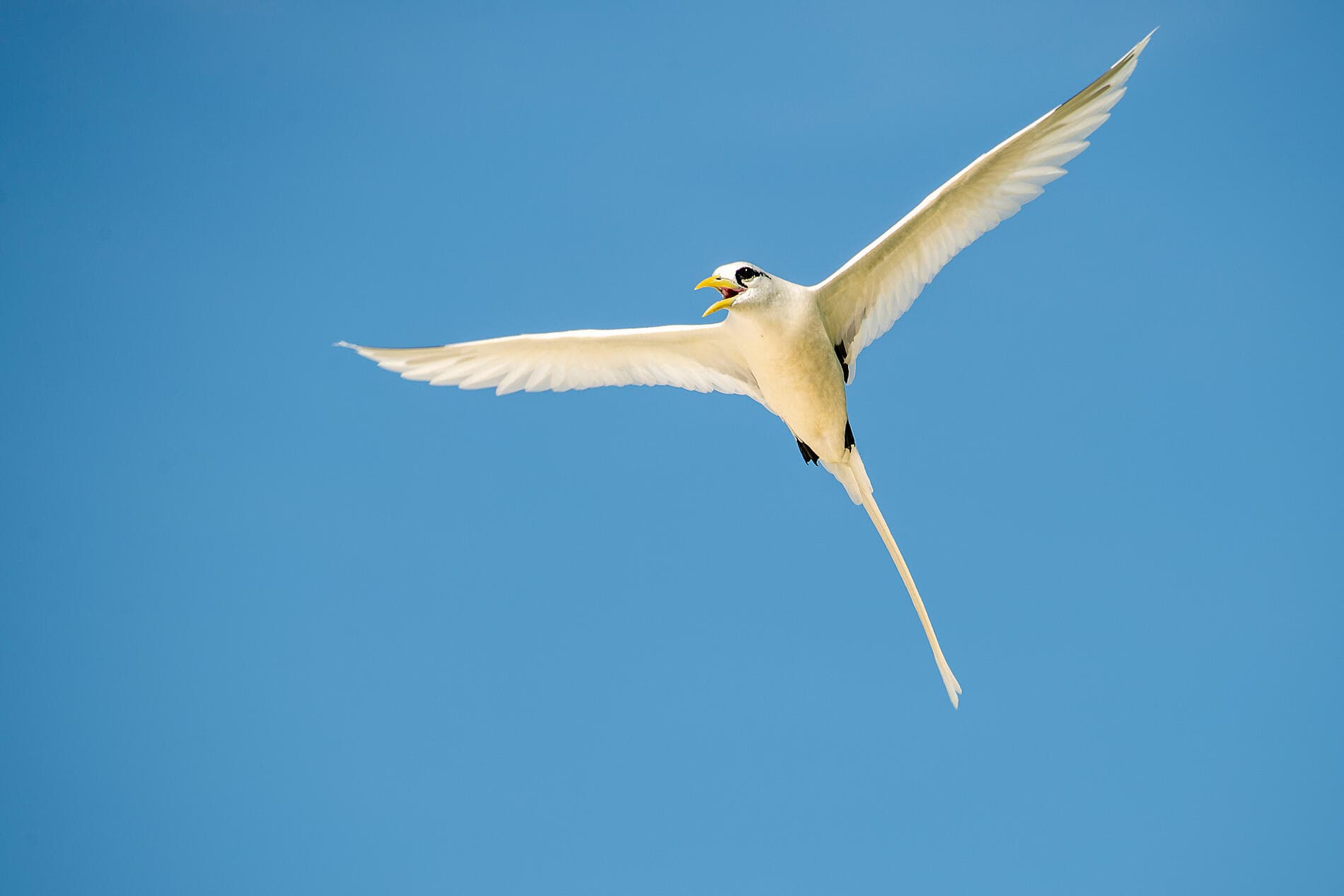L’essentiel des Seychelles