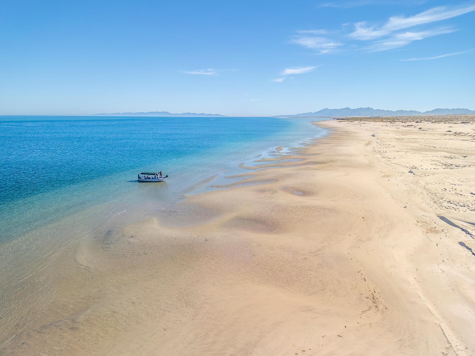 Exploration au cœur de la Basse-Californie