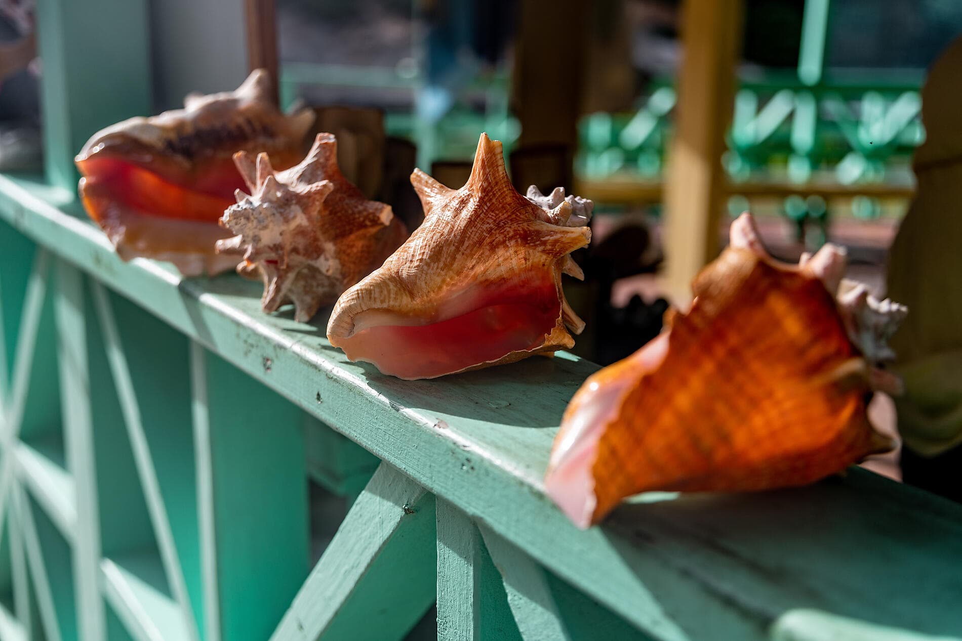 Joyaux secrets des Petites Antilles