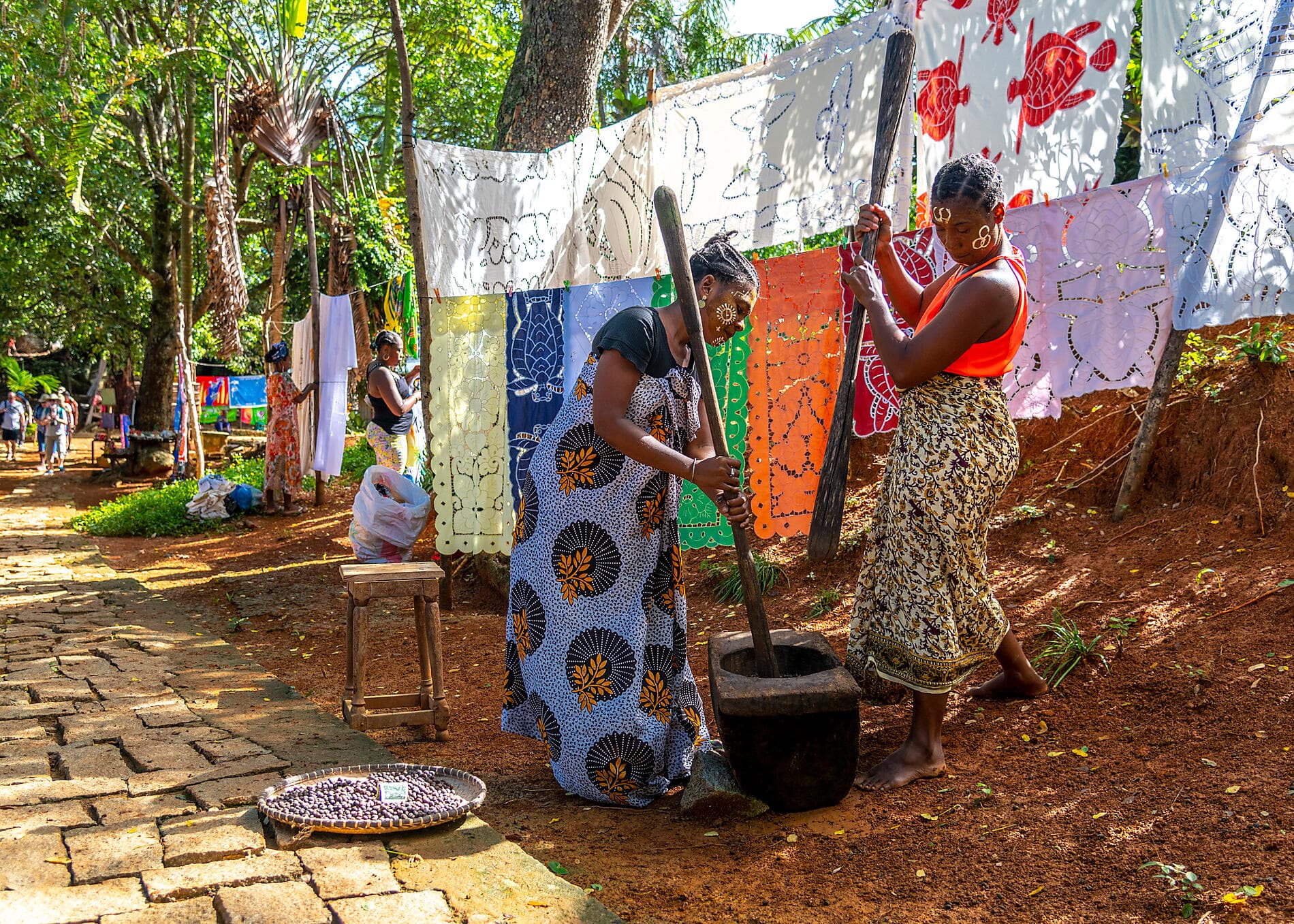 Afrique du Sud et Madagascar