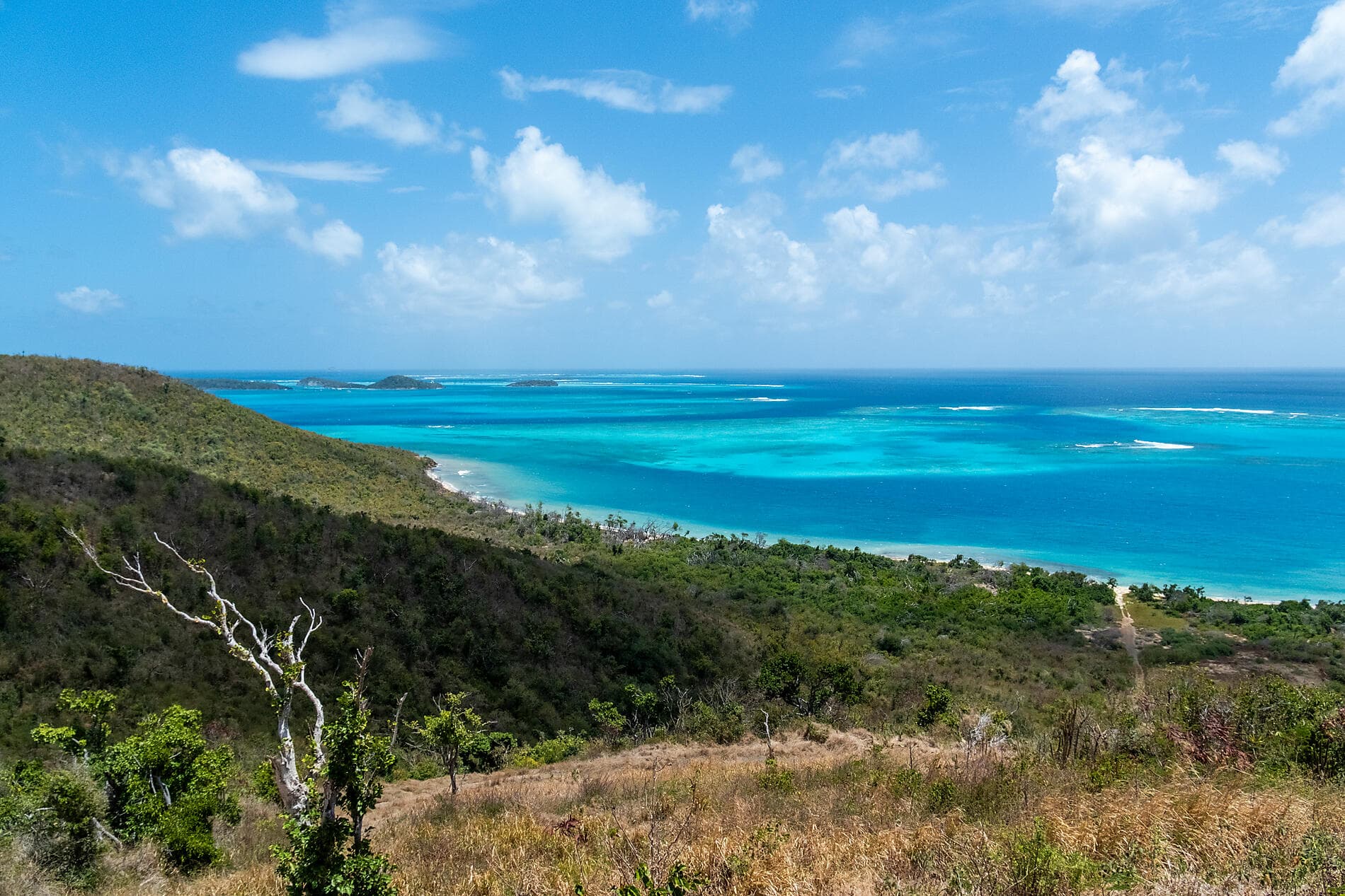Panama, Colombie et les îles Caraïbes