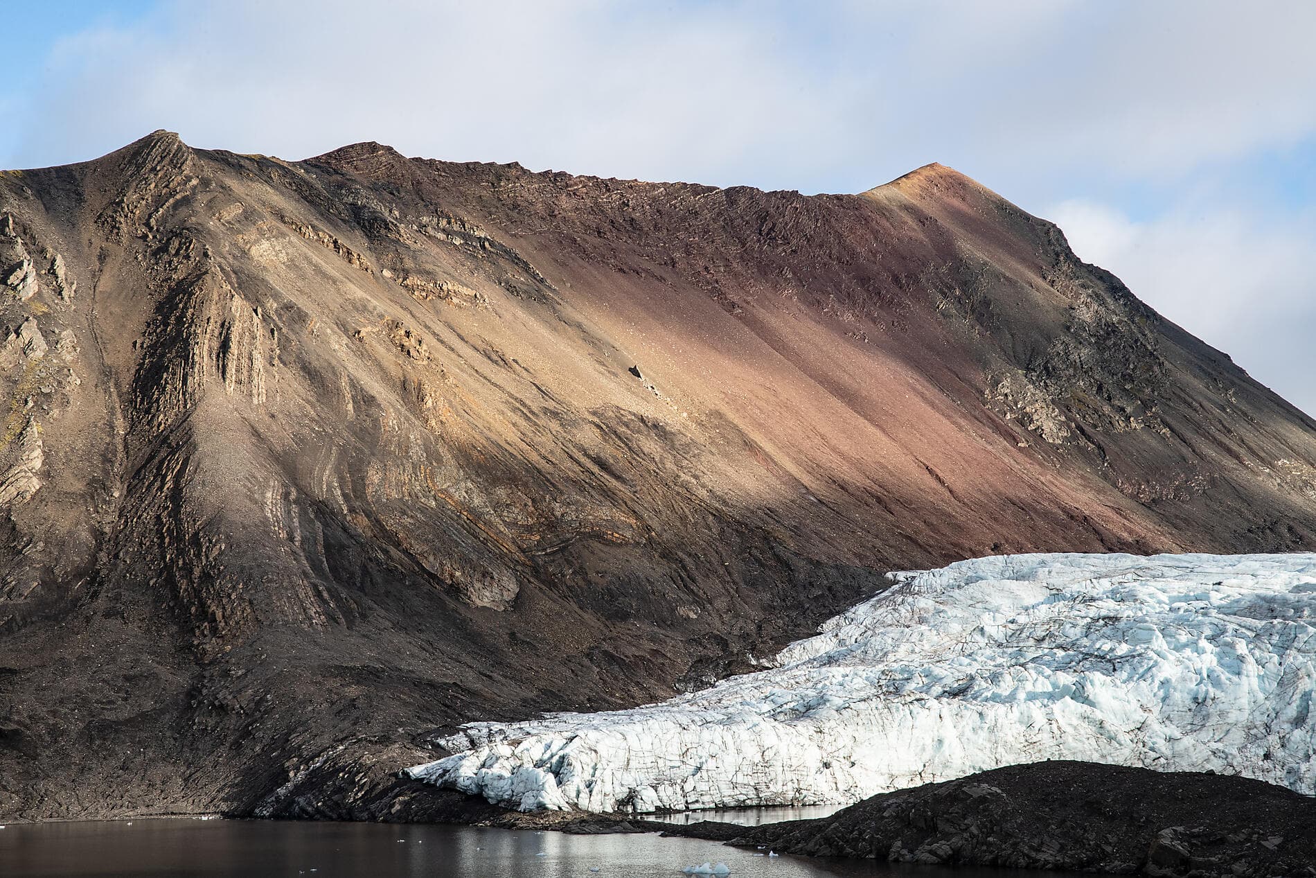 Du Svalbard à l'Islande : odyssée polaire