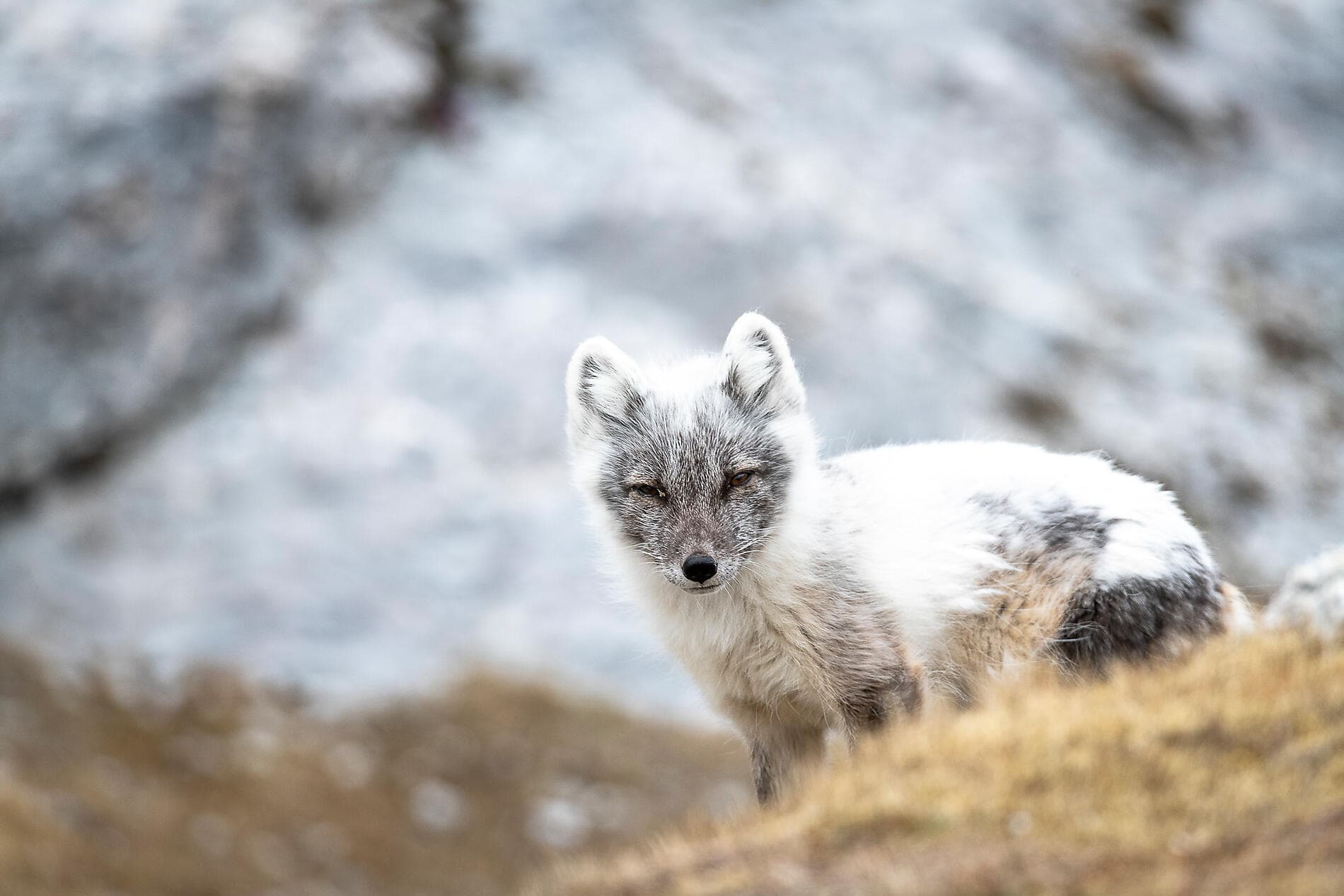 Le Svalbard inexploré