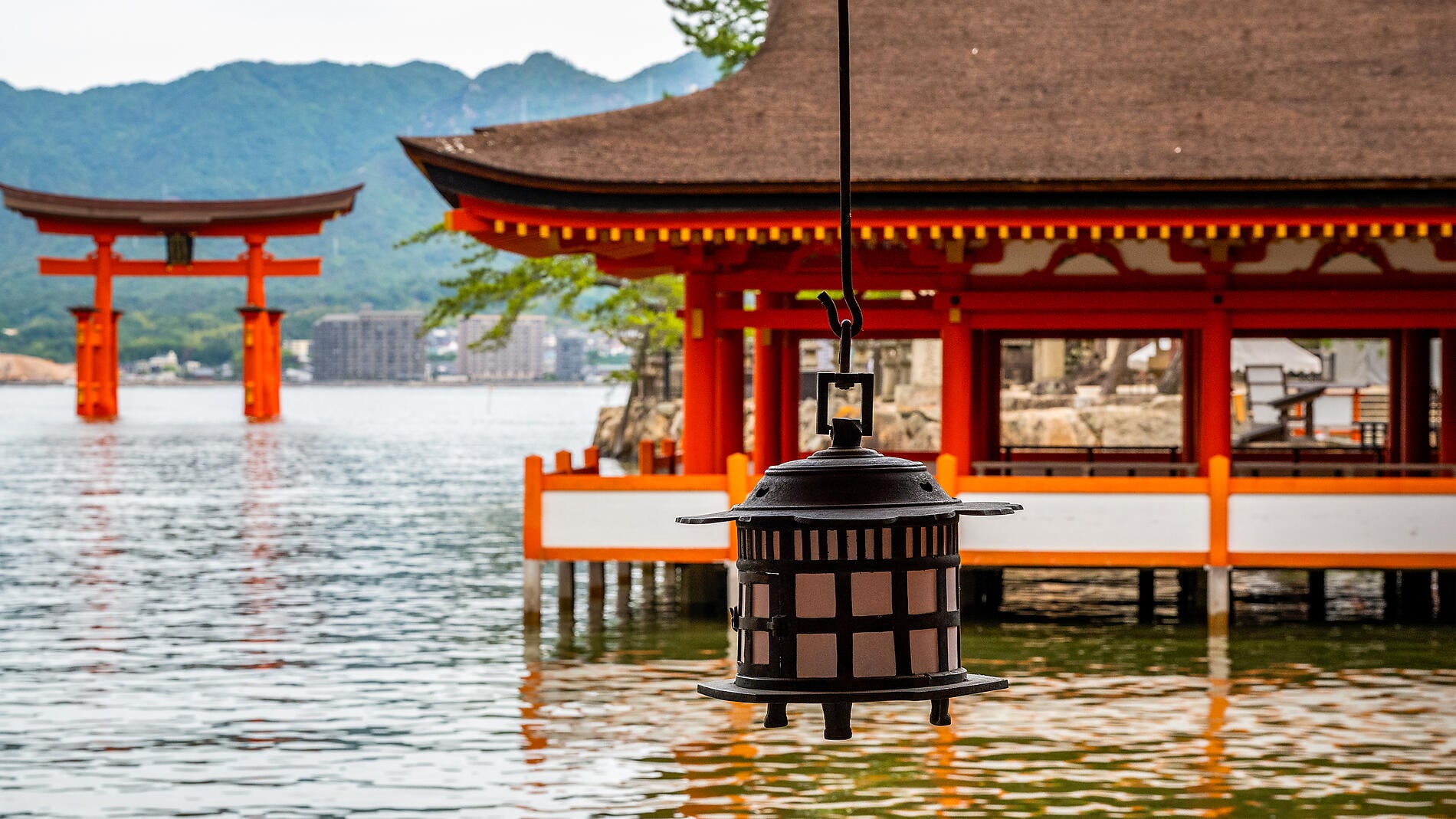 Au cœur du Japon authentique Au cœur du Japon authentique
