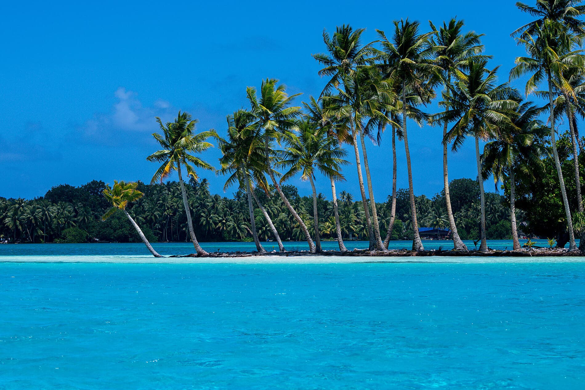 Secrets du Pacifique des Îles Salomon à Palau