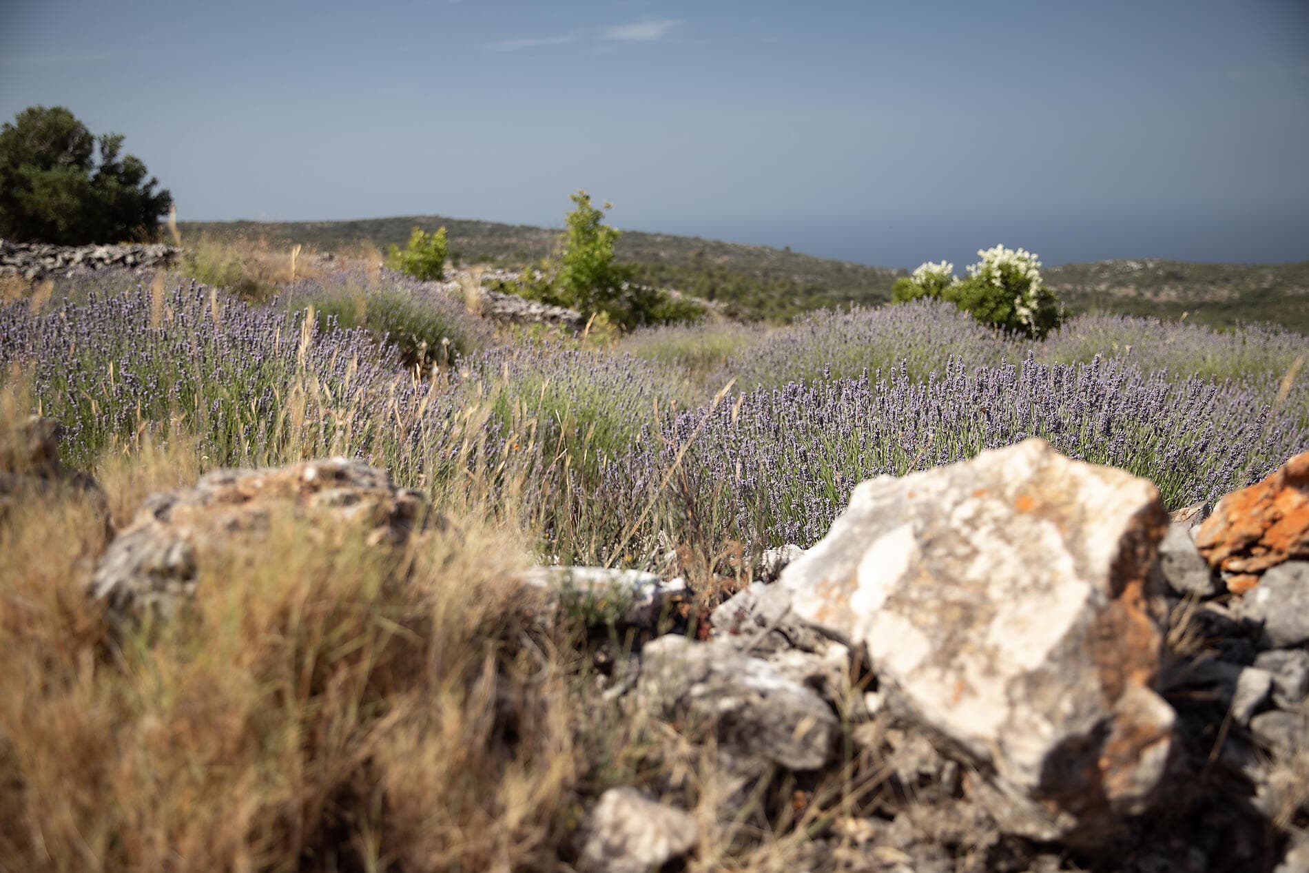 Merveilles naturelles et joyaux culturels de Dalmatie