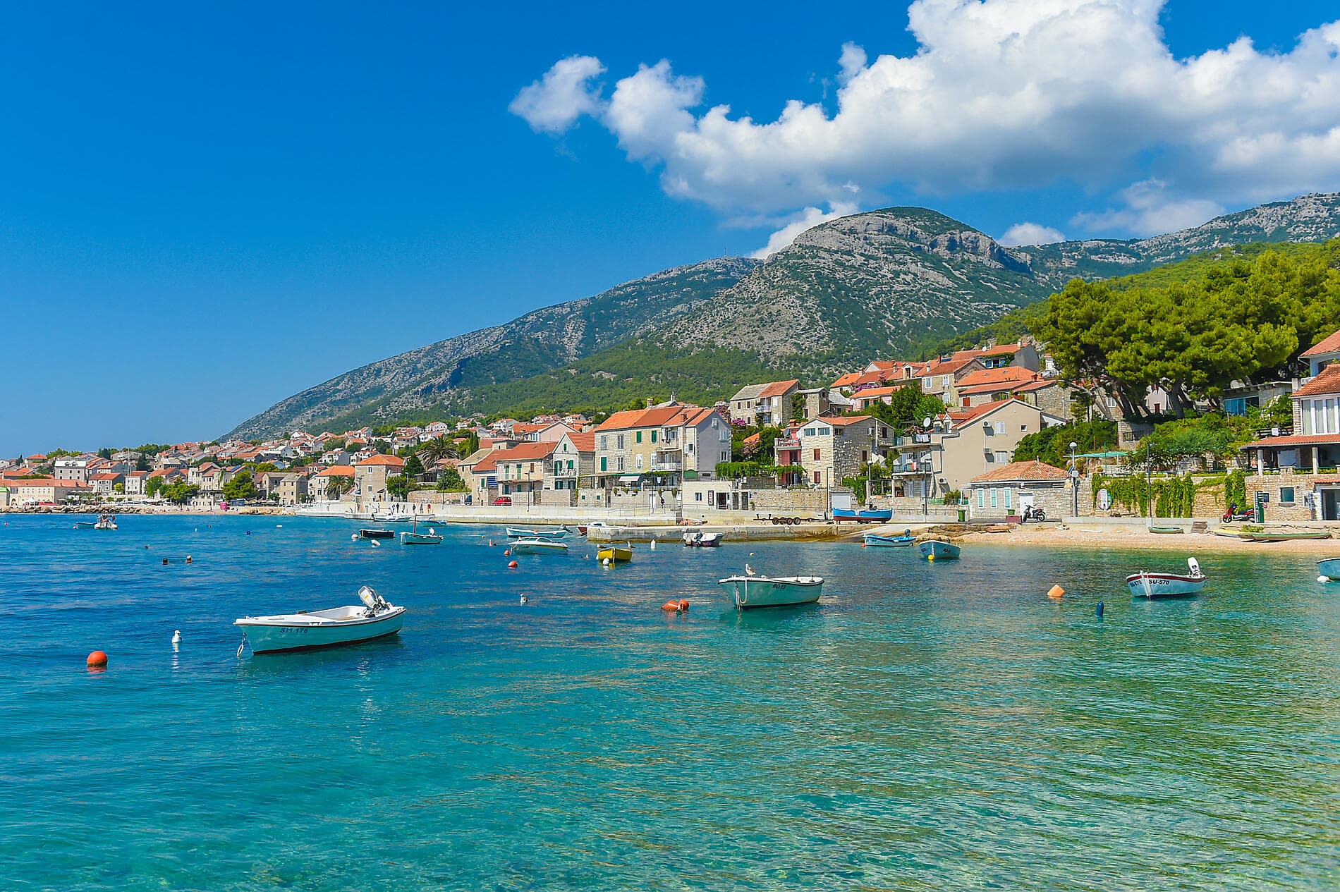 Cités et splendeurs de l'Adriatique