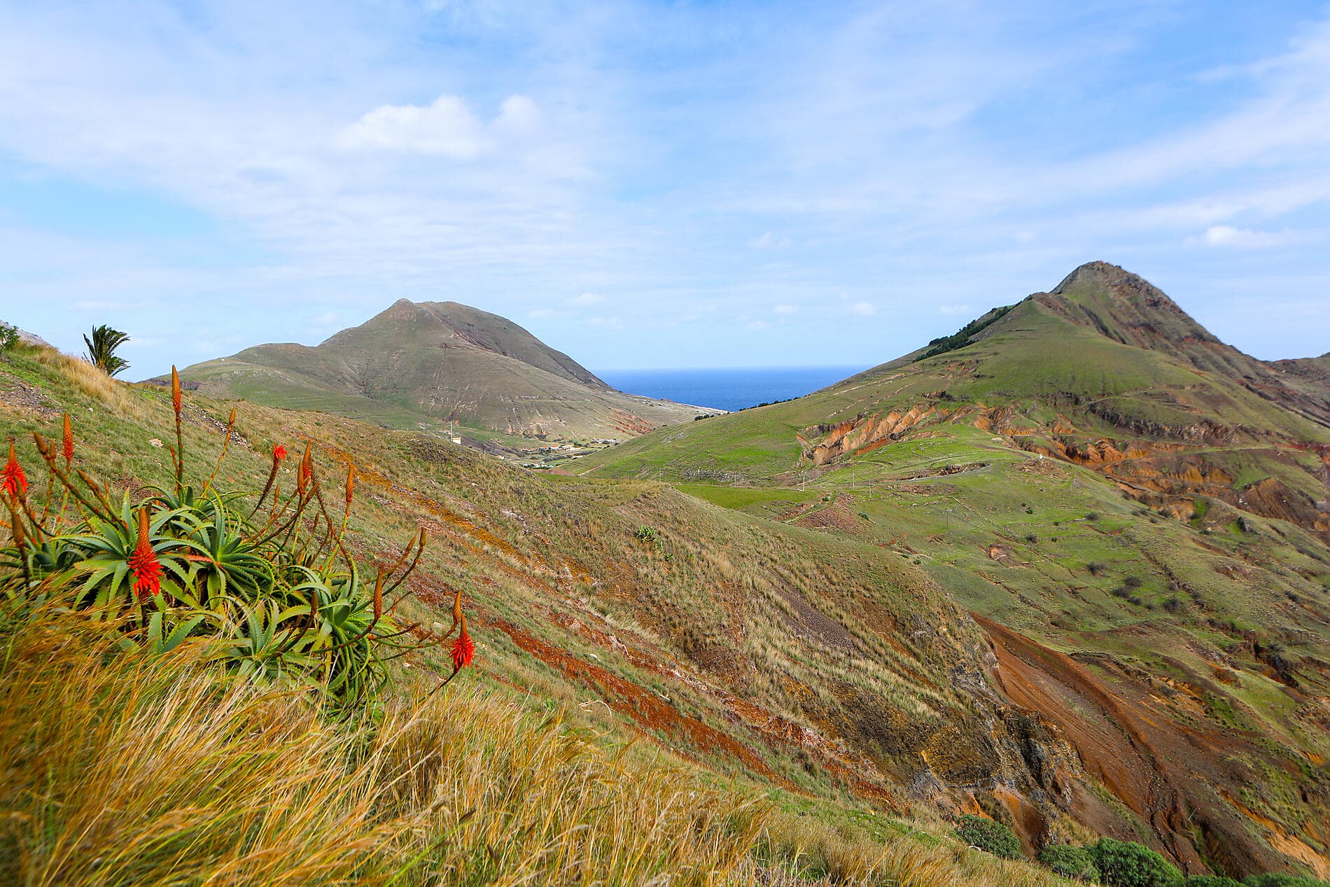 Madère et Açores