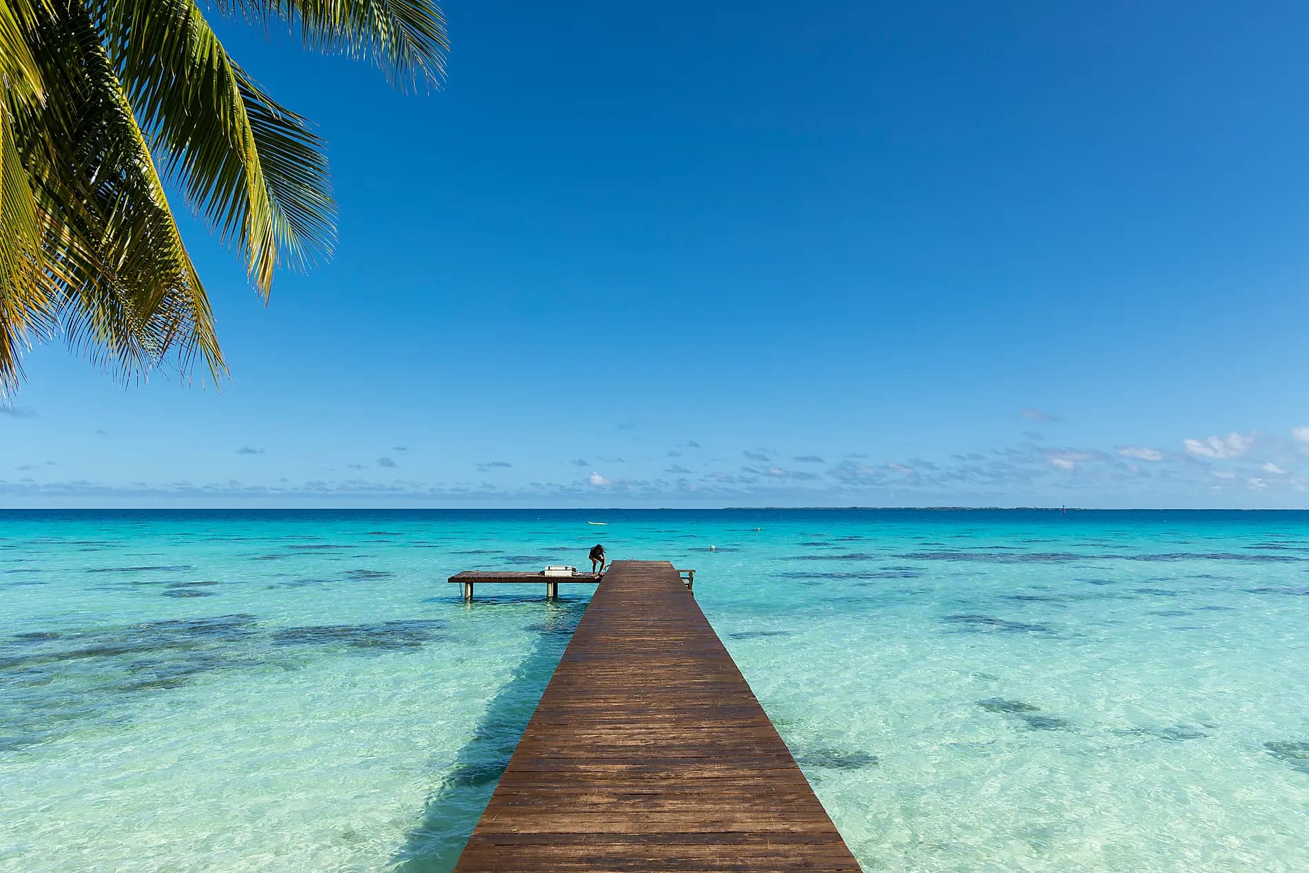 Marquises, Tuamotu et îles de la Société