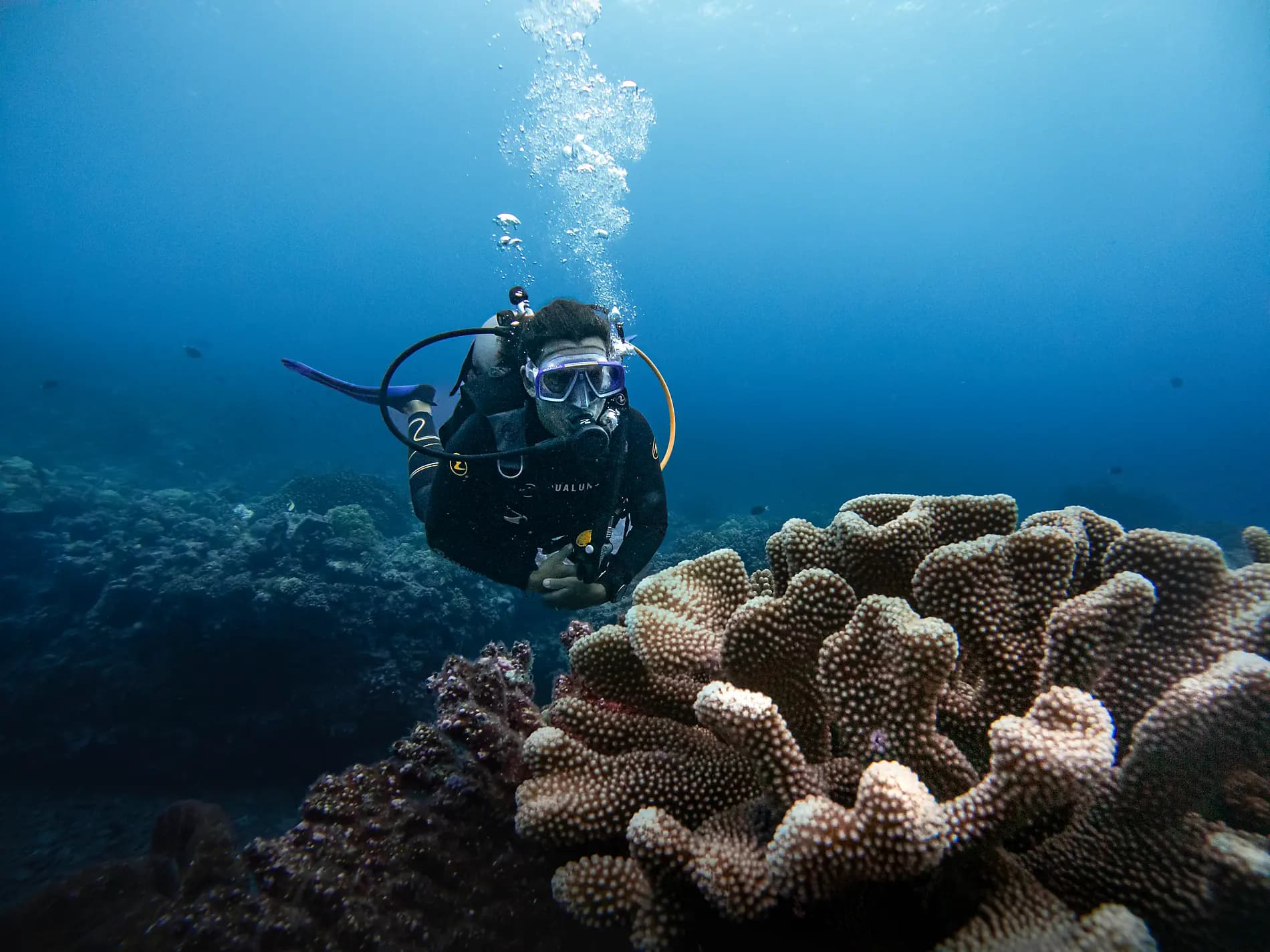Îles Fidji, Tonga, Cook et îles de la Société