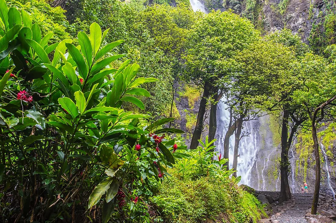 Découverte de Papeete de votre arrivée à votre embarquement