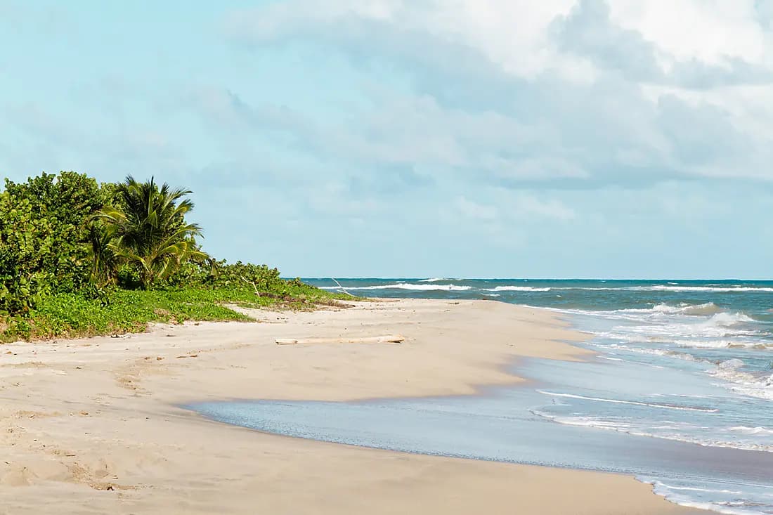 Parenthèse tropicale : nature et gastronomie entre Vieux Fort et Soufrière