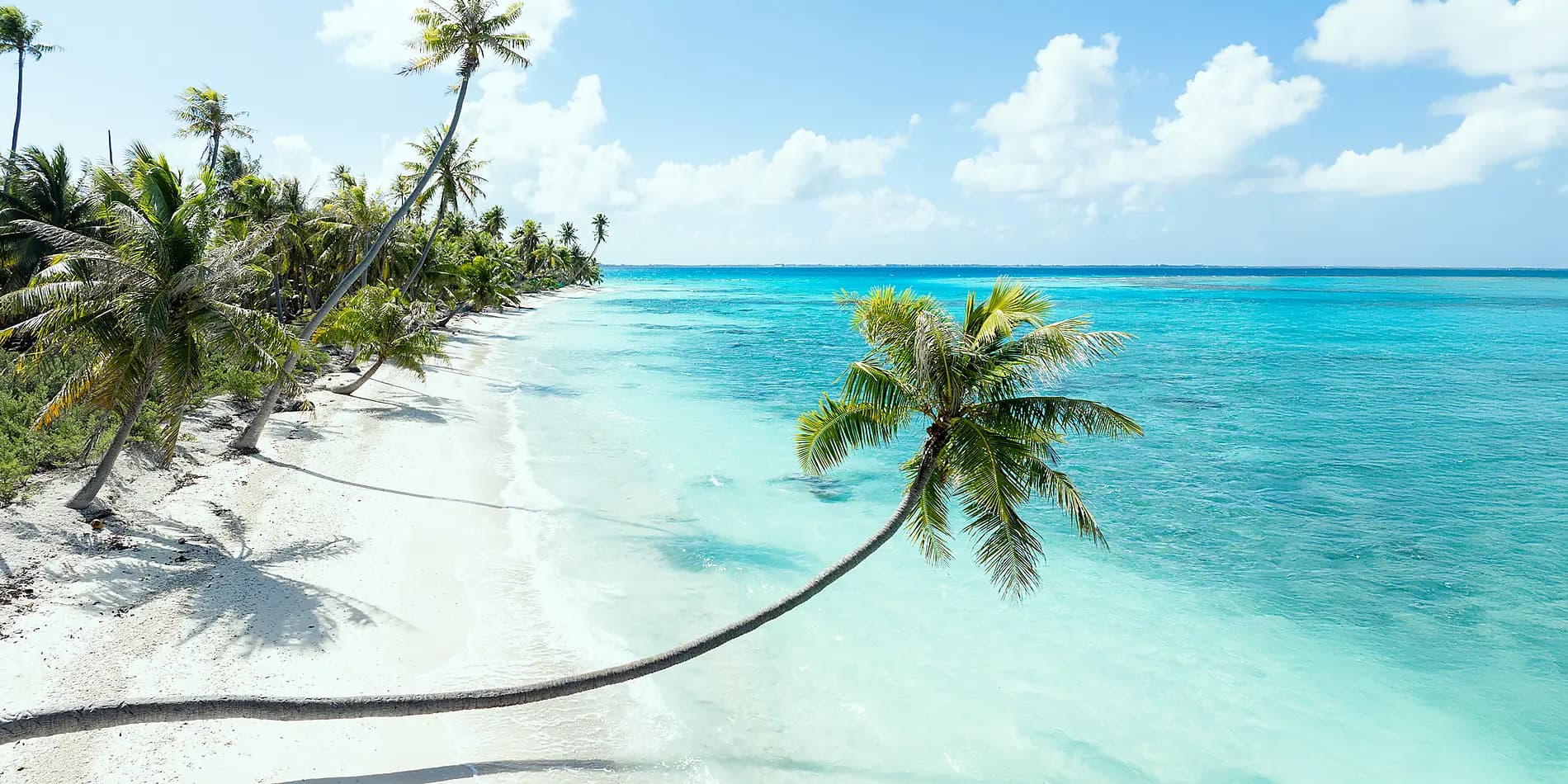 Îles de la Société et Tuamotu