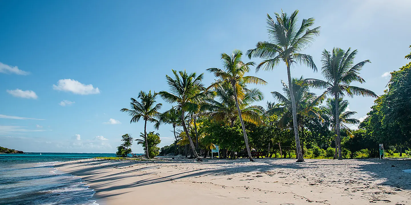 Histoire et culture dans les bijoux des Caraïbes Histoire et culture dans les bijoux des Caraïbes
