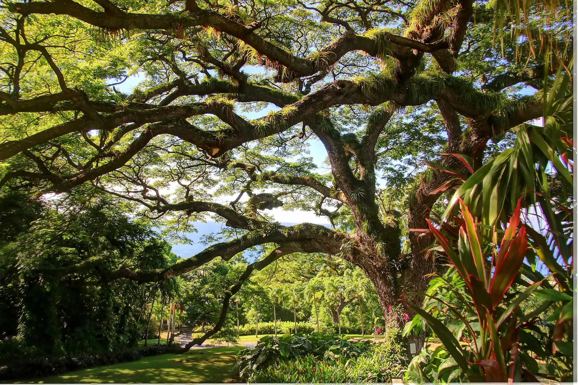 Histoire et culture dans les bijoux des Caraïbes