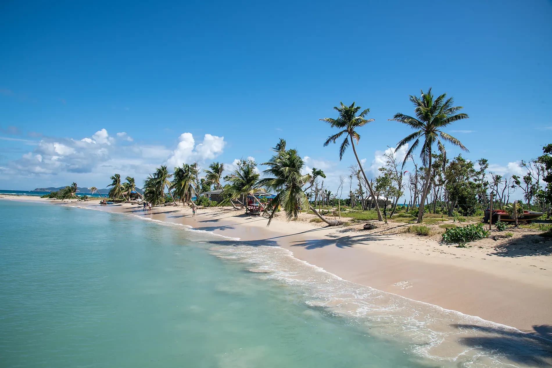 Perles des Antilles
