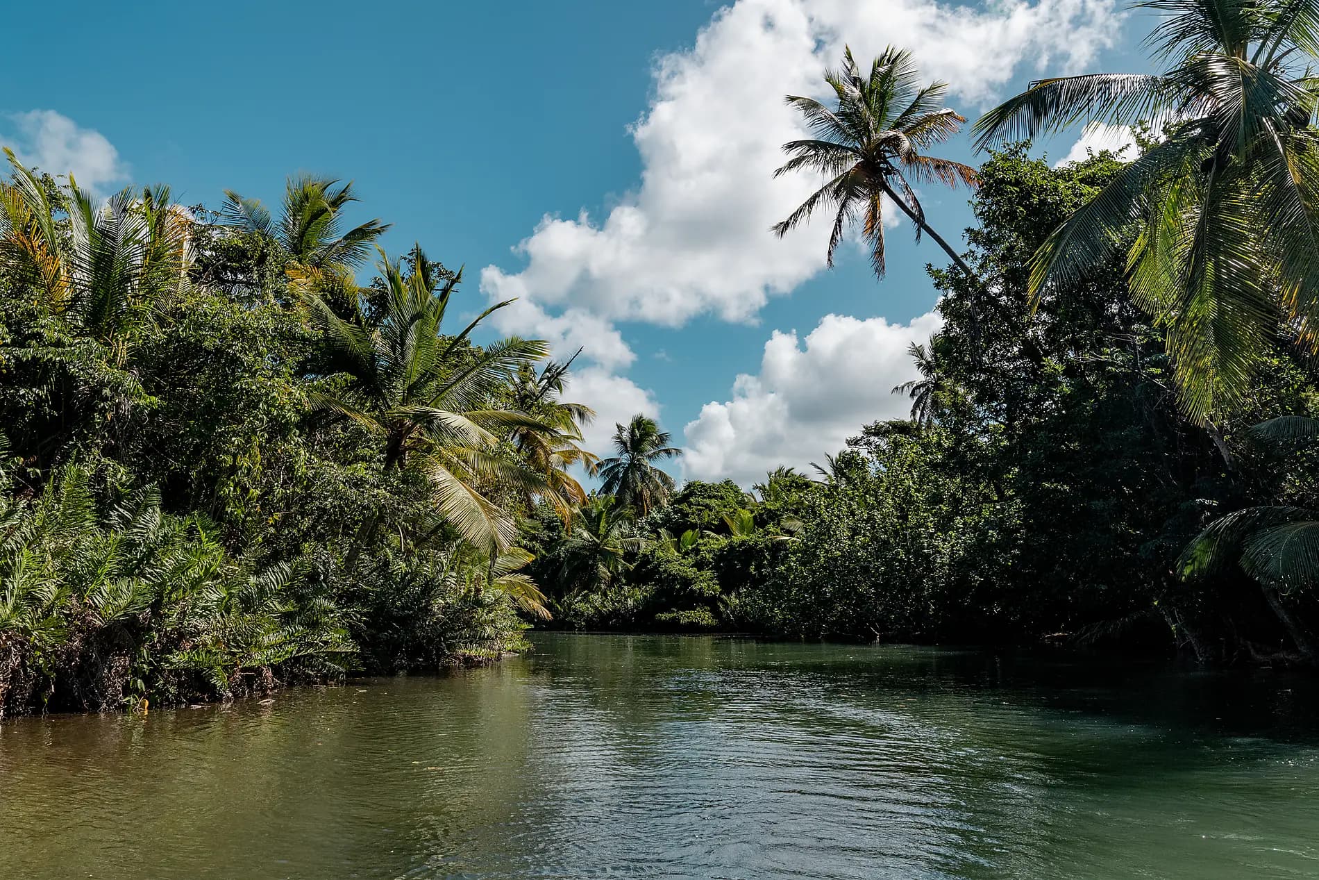 Les îles du Vent à fleur d'eau