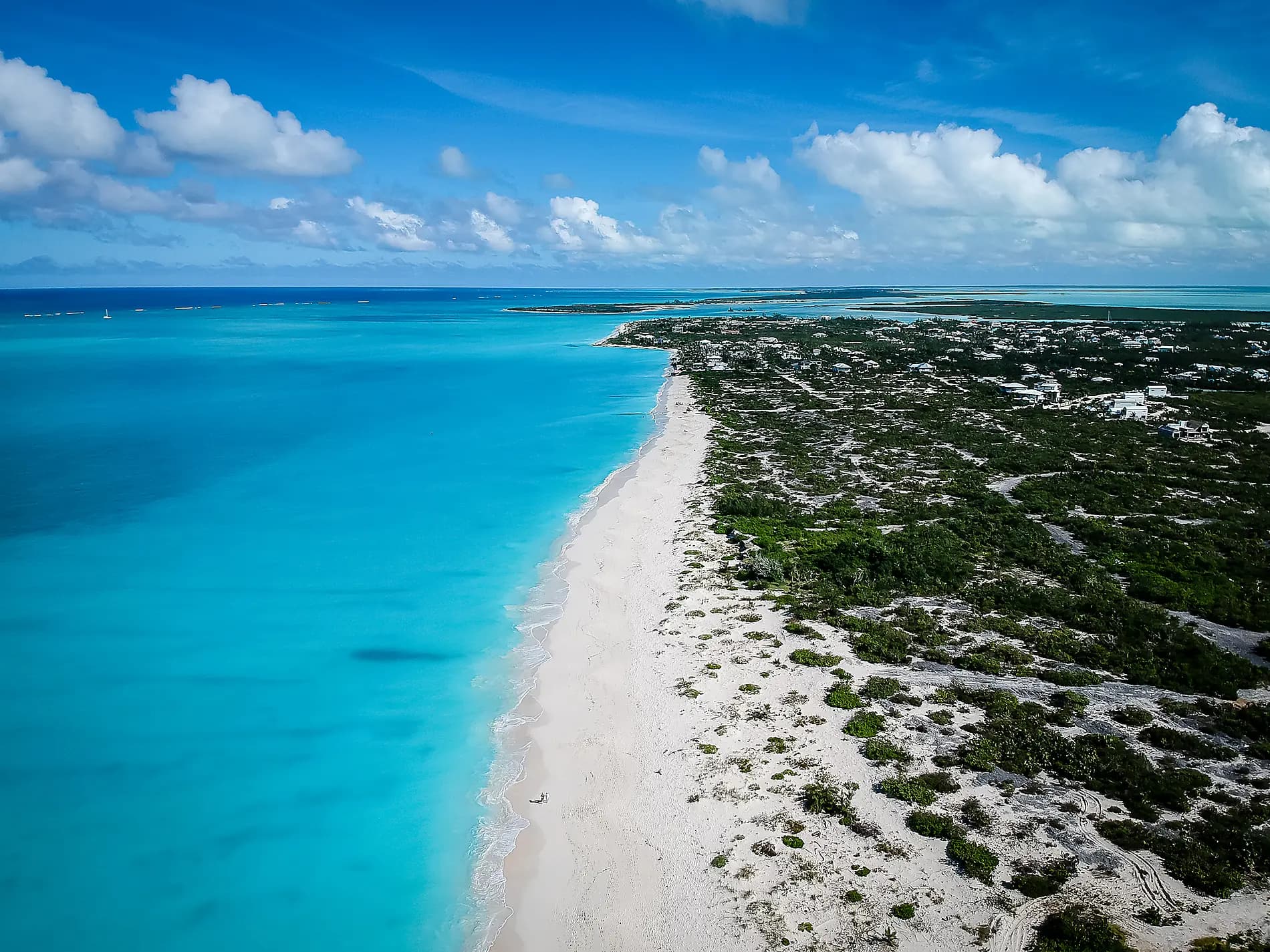 Joyaux du nord des Caraïbes