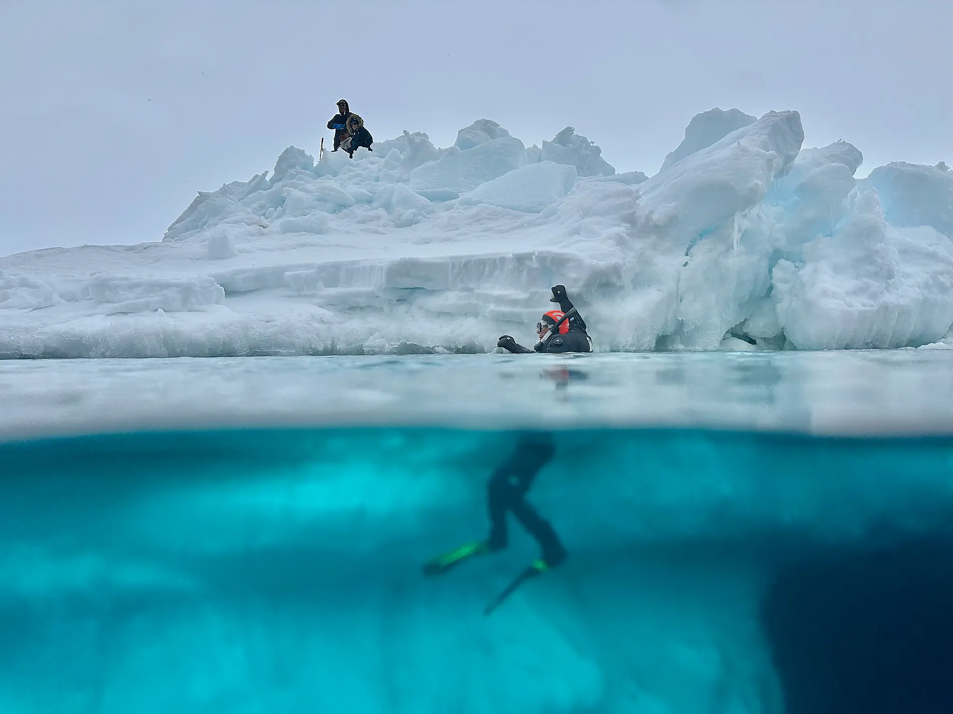 Les âmes oubliées du Grand Sud