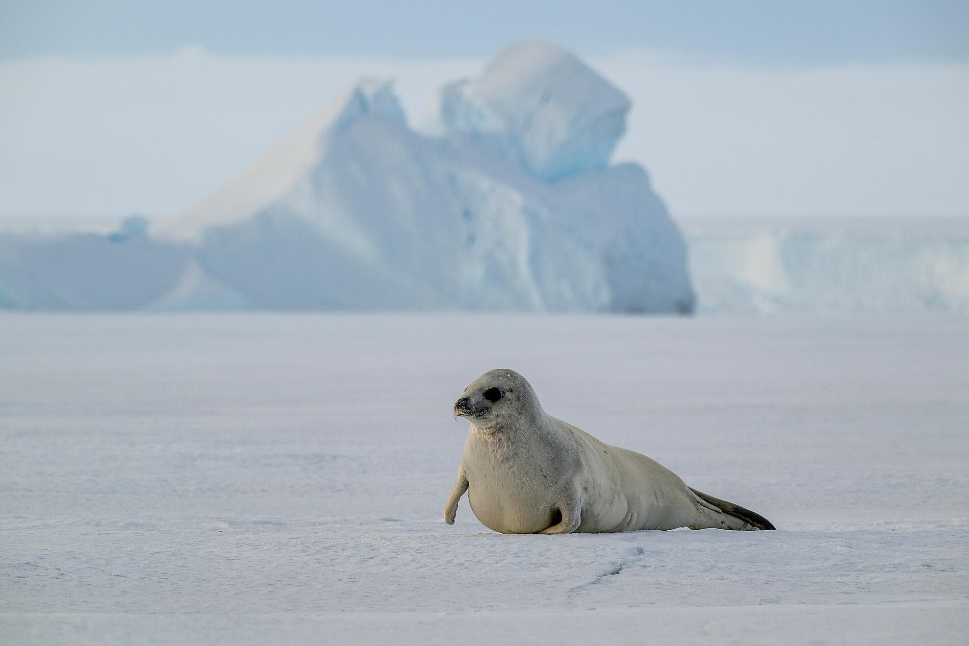 Les âmes oubliées du Grand Sud