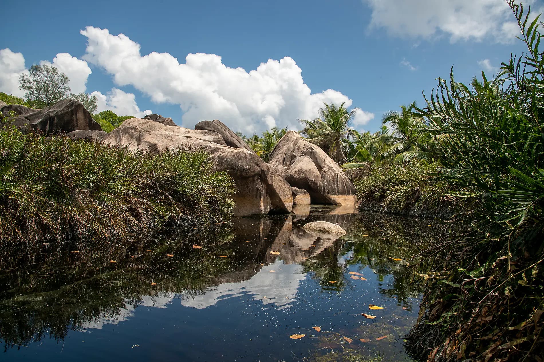 Des Seychelles à Madagascar, îles insoupçonnées