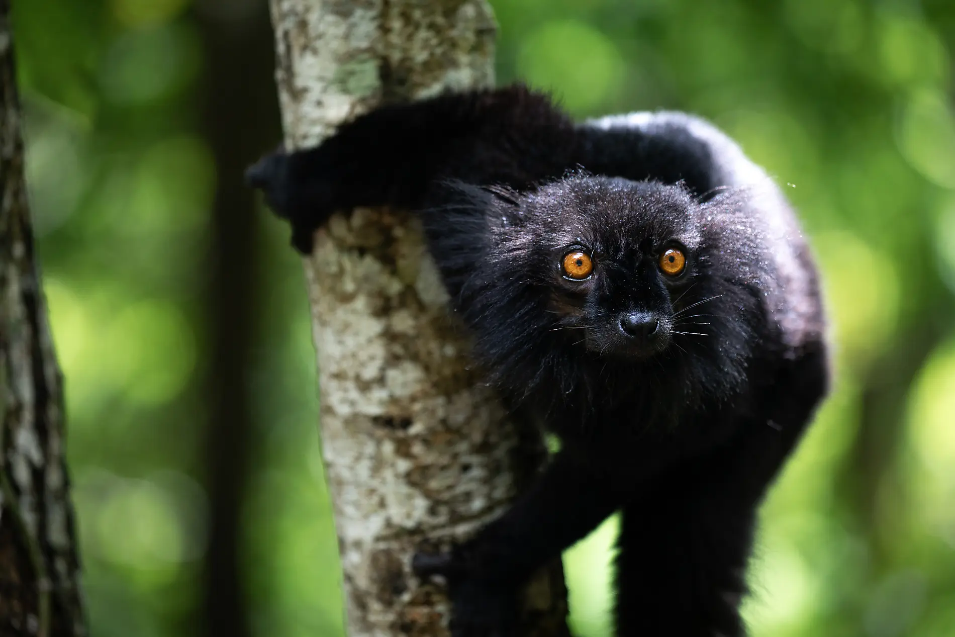 Madagascar confidentielle