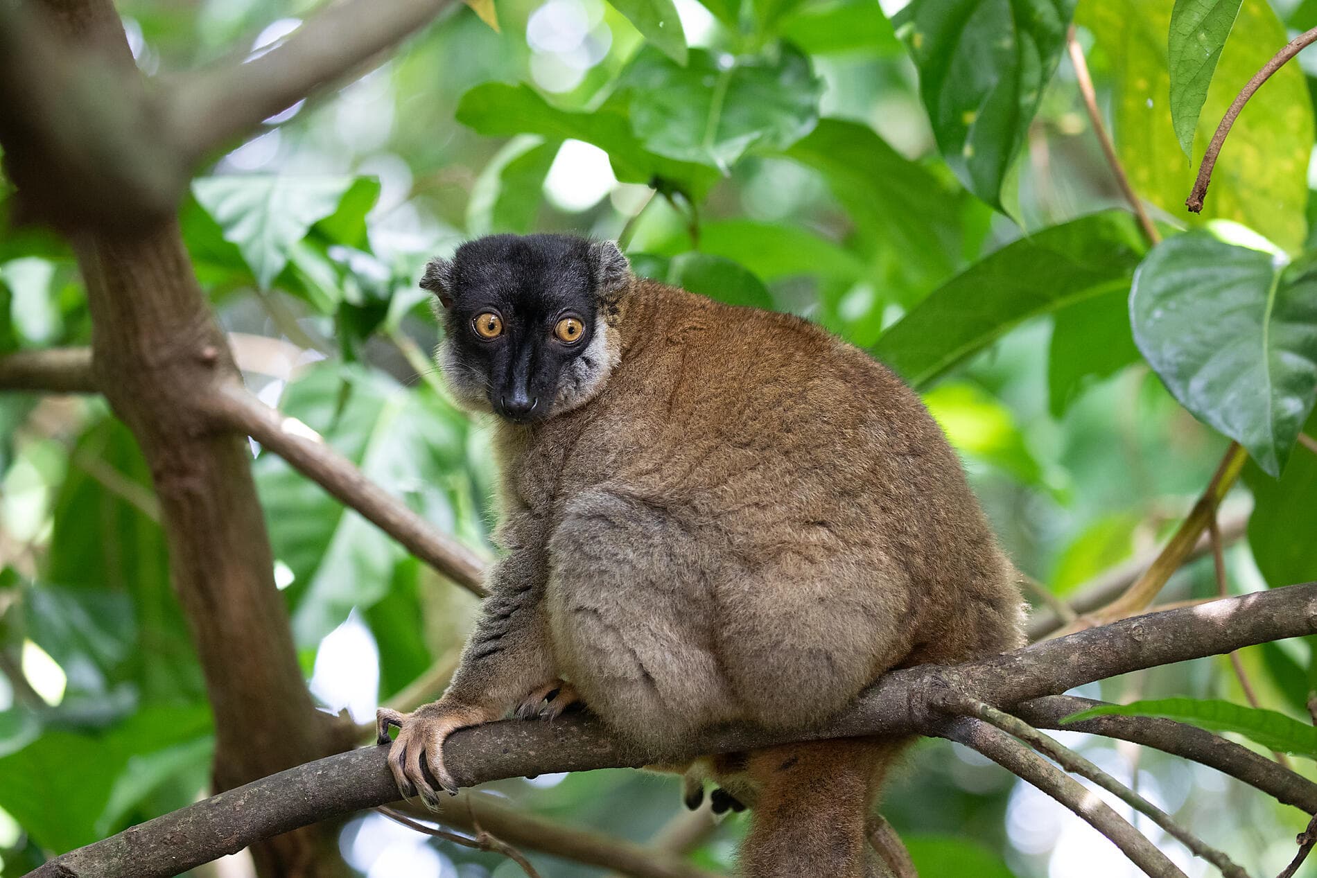 Madagascar confidentielle